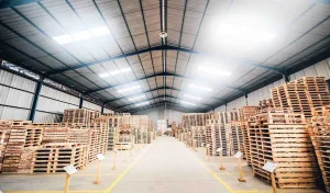 jual palet kayu terdekat