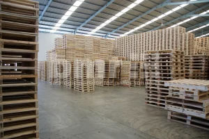 cara memilih palet kayu terdekat