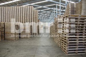 Bahan Palet Kayu