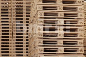 Ekspor Pallet Kayu