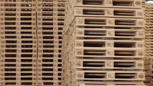 Mengapa Standar Palet EPAL adalah Jaminan Utama untuk Kelancaran Ekspor Anda