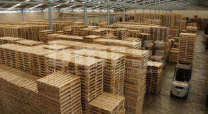 cari pallet kayu terdekat
