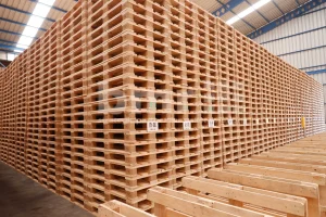 Panduan Lengkap Memilih dan Menggunakan EU Pallet dengan Optimal