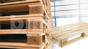 Pallet Epal Asia