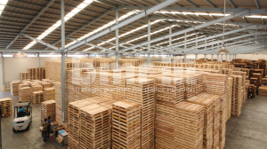 Produsen Pallet Terbaik