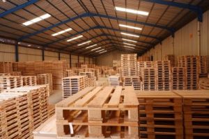jual pallet kayu
