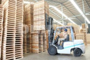 wood pallet production technology